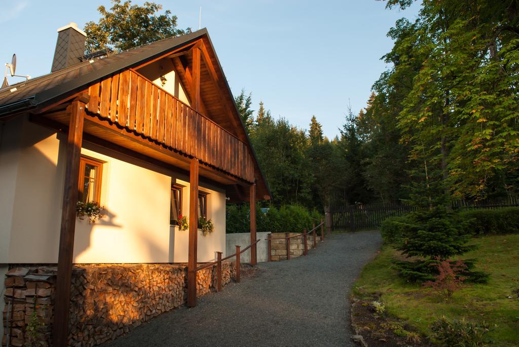 Apartamento Haus Waldfrieden Altenberg  Exterior foto