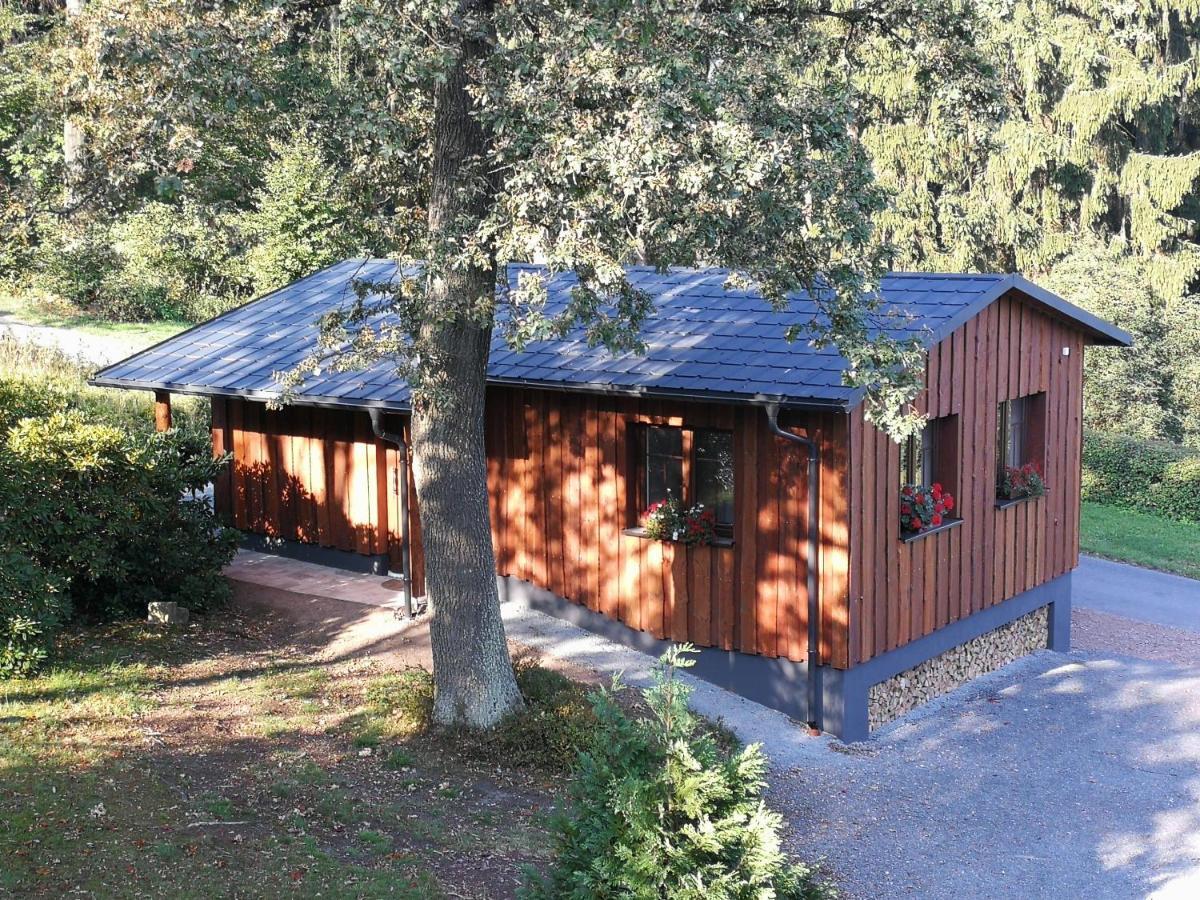 Apartamento Haus Waldfrieden Altenberg  Exterior foto