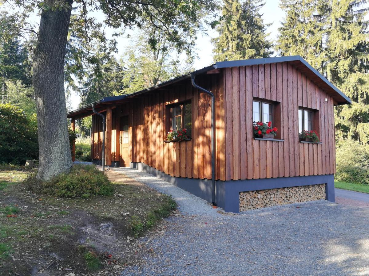 Apartamento Haus Waldfrieden Altenberg  Exterior foto